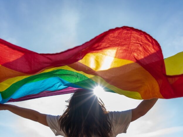 What Does LGBT Mean? course image